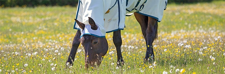 Sweet Itch Products to help protect your horse all summer. 